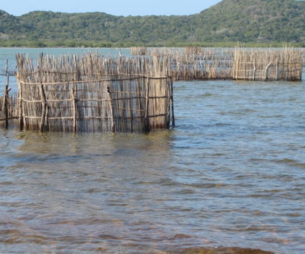 Cultural Fishkraal Tour 3